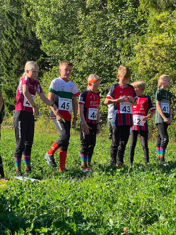 image: DM-stafett (och 25-manna)